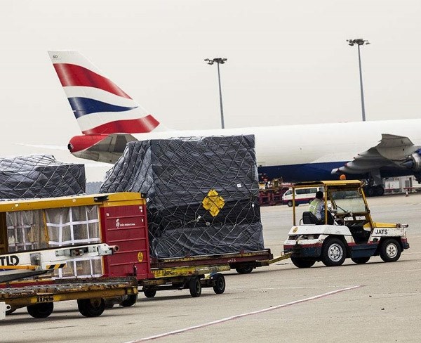 重慶寵物托運(yùn)-國內(nèi)寵物托運(yùn)多少錢-安徽航馳貨運(yùn)代理(圖3)