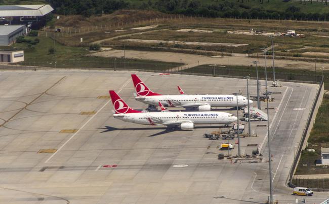 航空運輸苗木規(guī)則(圖1)