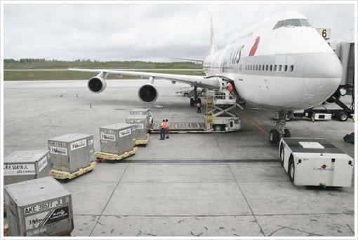 航空托運注意事項(圖1) 航空托運注意事項(圖1)