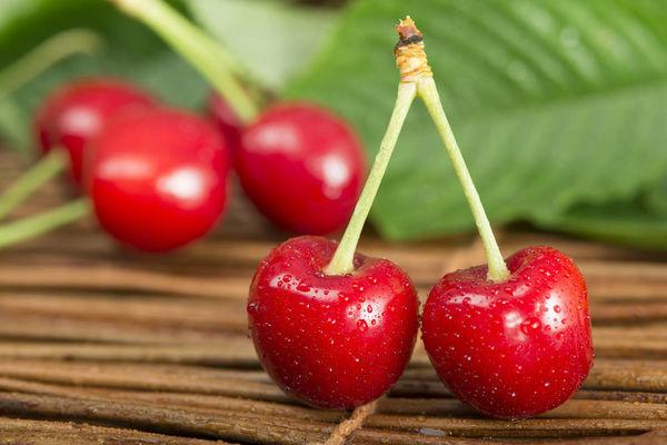 航空托運櫻桃(圖1) 航空托運櫻桃(圖1)