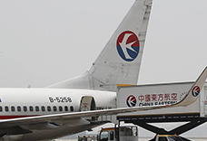 合肥寵物航空托運(yùn)的防范措施(圖1) 合肥寵物航空托運(yùn)的防范措施(圖1)