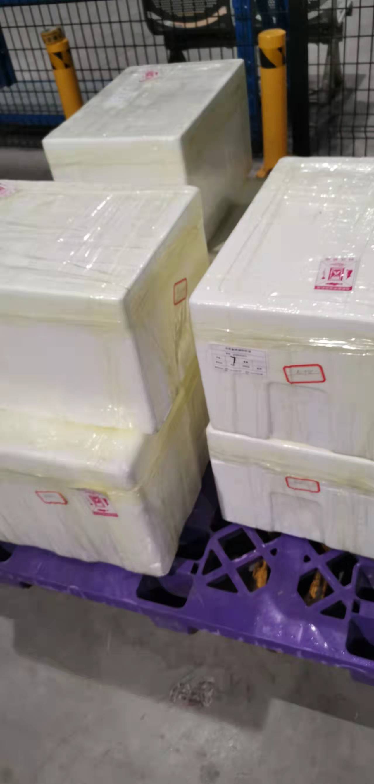 航空貨運受疫情影響 優(yōu)化航空貨運線路 提升運力(圖4)