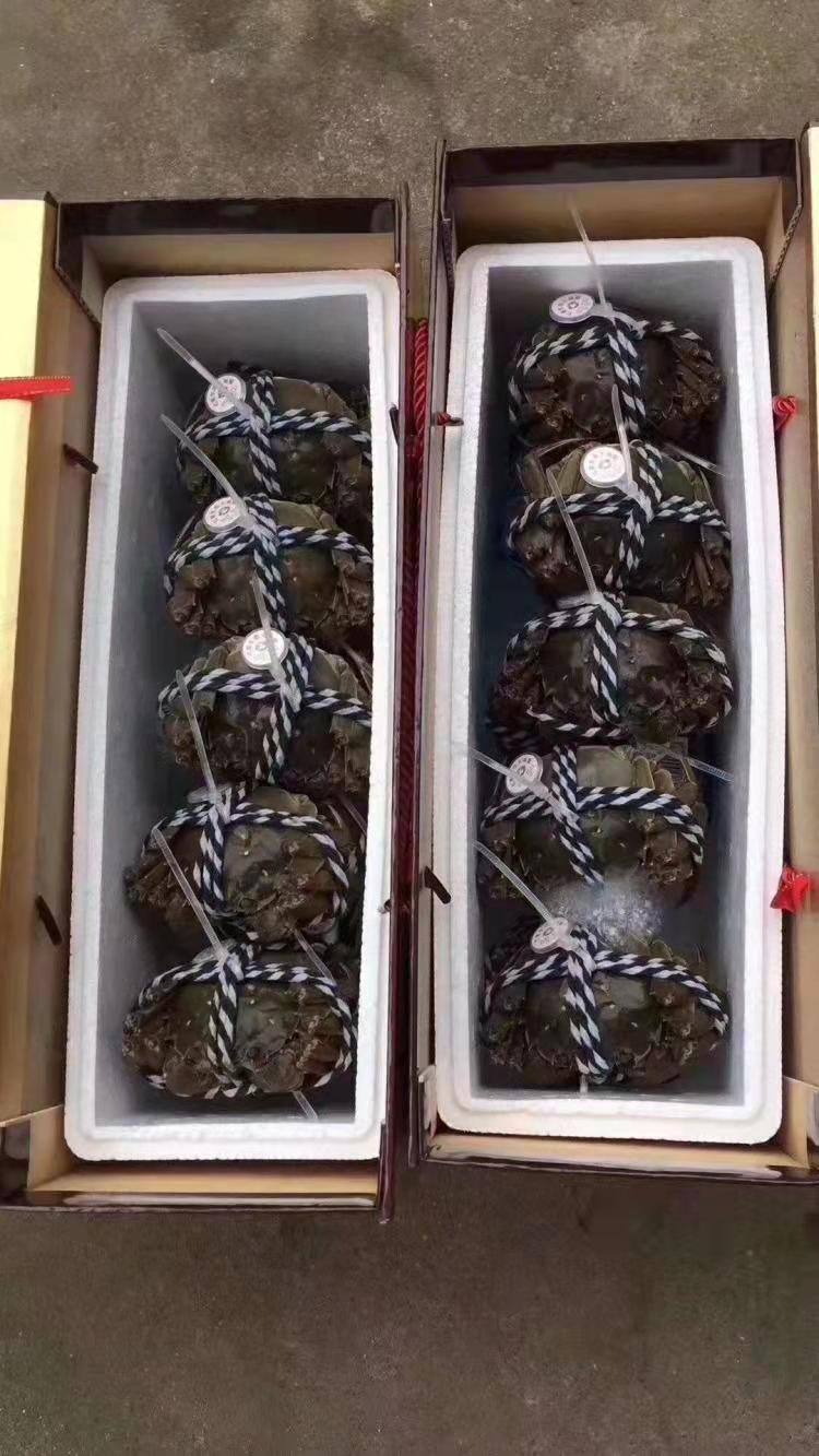 航空貨運受疫情影響 優(yōu)化航空貨運線路 提升運力(圖1)